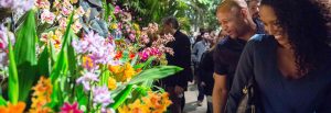 Experience The Orchid Show.